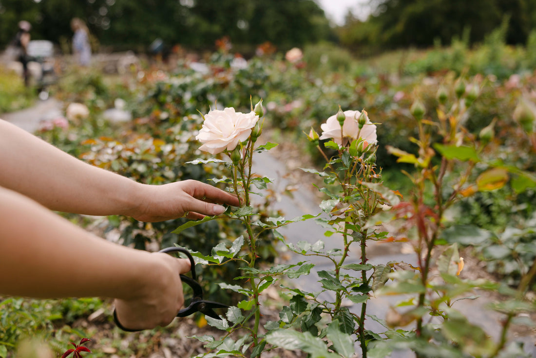 Sustainable thinking