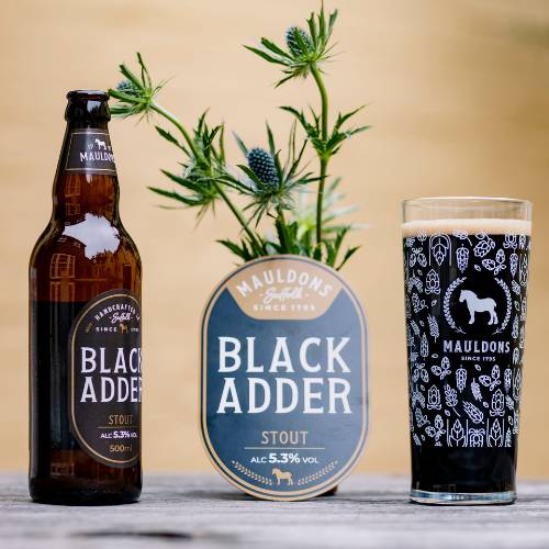 Dark 12 Beer Box