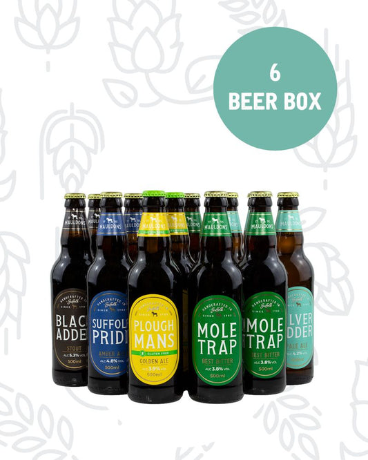 Mixed 6 Beer Box