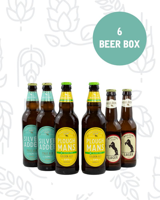 Light 6 Beer Box